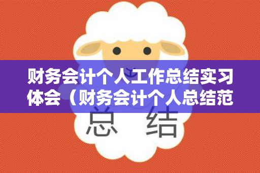 财务会计个人工作总结实习体会（财务会计个人总结范文）