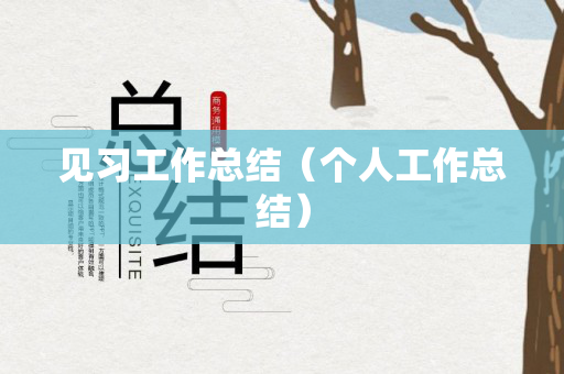 见习工作总结（个人工作总结）