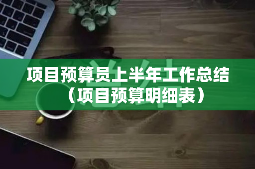 项目预算员上半年工作总结（项目预算明细表）