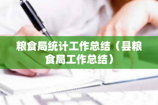 粮食局统计工作总结（县粮食局工作总结）