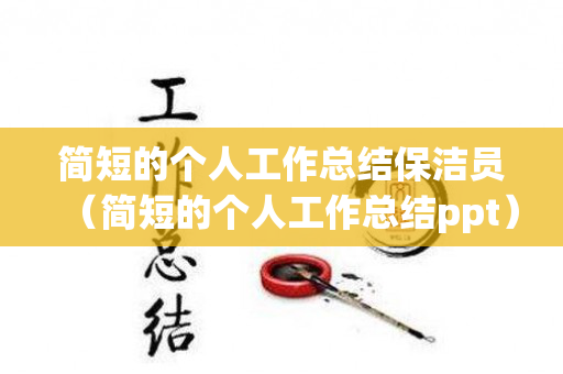 简短的个人工作总结保洁员（简短的个人工作总结ppt）