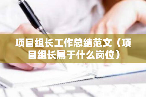 项目组长工作总结范文（项目组长属于什么岗位）