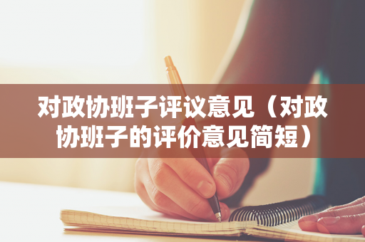 对政协班子评议意见（对政协班子的评价意见简短）