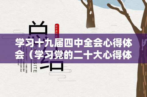 学习十九届四中全会心得体会（学习党的二十大心得体会）