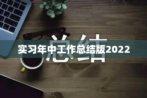 实习年中工作总结版2022