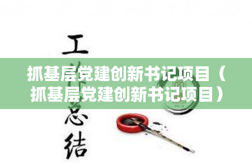 抓基层党建创新书记项目（抓基层党建创新书记项目）