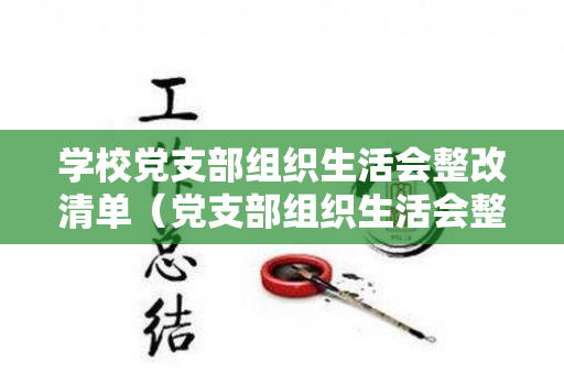 学校党支部组织生活会整改清单（党支部组织生活会整改情况报告）