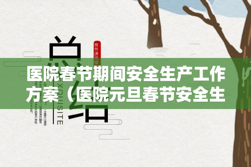 医院春节期间安全生产工作方案（医院元旦春节安全生产工作方案）