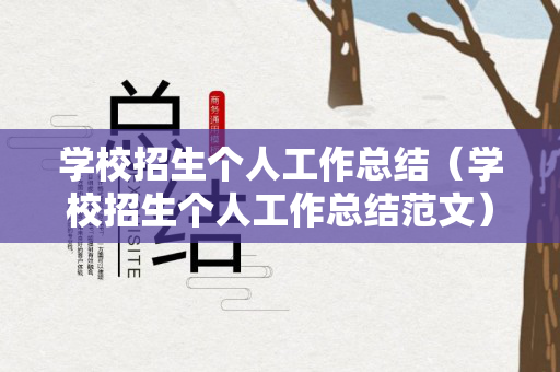 学校招生个人工作总结（学校招生个人工作总结范文）