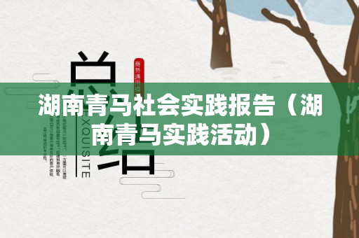 湖南青马社会实践报告（湖南青马实践活动）