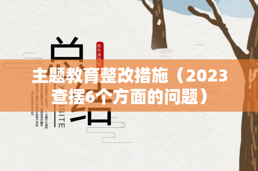 主题教育整改措施（2023查摆6个方面的问题）
