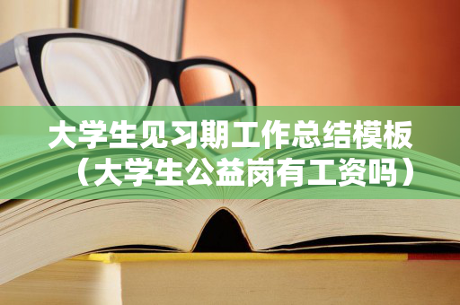 大学生见习期工作总结模板（大学生公益岗有工资吗）