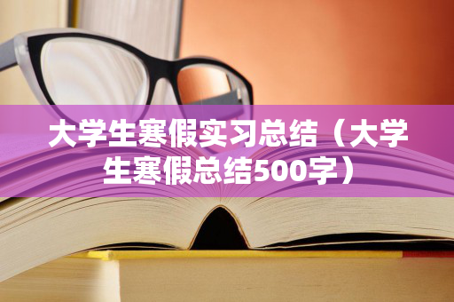 大学生寒假实习总结（大学生寒假总结500字）