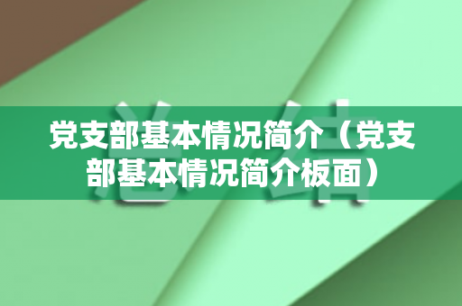 党支部基本情况简介（党支部基本情况简介板面）
