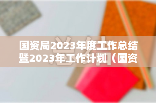 国资局2023年度工作总结暨2023年工作计划（国资委2021年工作要点）