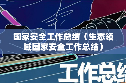 国家安全工作总结（生态领域国家安全工作总结）