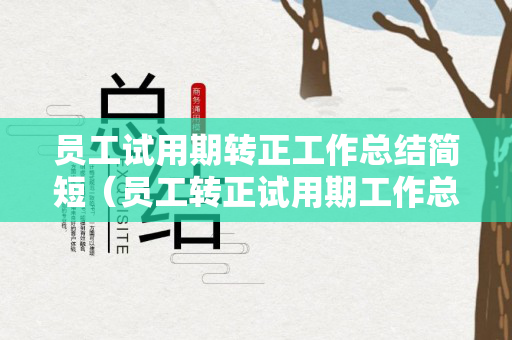 员工试用期转正工作总结简短（员工转正试用期工作总结怎么写）