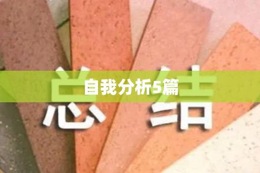 自我分析5篇