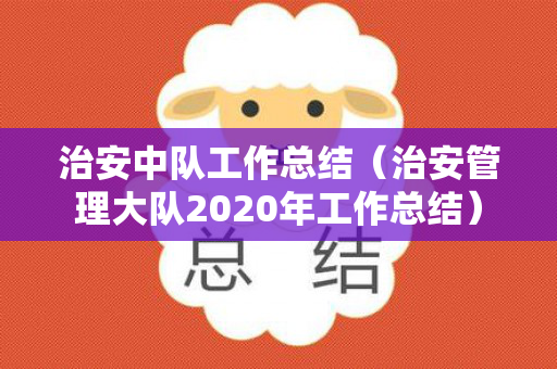 治安中队工作总结（治安管理大队2020年工作总结）