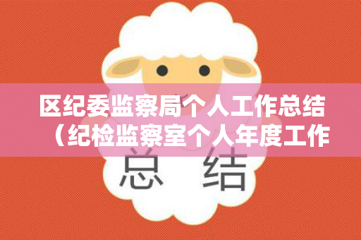 区纪委监察局个人工作总结（纪检监察室个人年度工作总结）