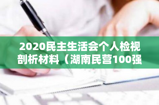 2020民主生活会个人检视剖析材料（湖南民营100强）