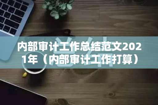 内部审计工作总结范文2021年（内部审计工作打算）