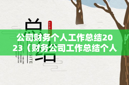 公司财务个人工作总结2023（财务公司工作总结个人）