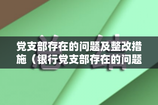 党支部存在的问题及整改措施（银行党支部存在的问题和不足之处）