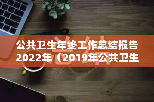 公共卫生年终工作总结报告2022年（2019年公共卫生个人年终总结）