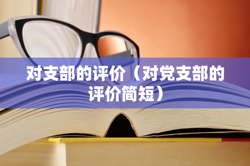 对支部的评价（对党支部的评价简短）