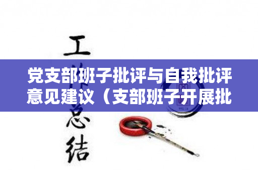 党支部班子批评与自我批评意见建议（支部班子开展批评与自我批评情况汇报）