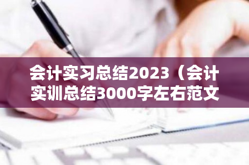 会计实习总结2023（会计实训总结3000字左右范文）