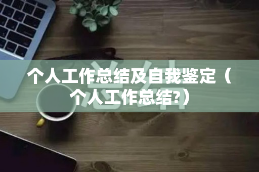 个人工作总结及自我鉴定（个人工作总结?）