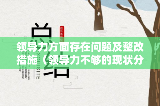 领导力方面存在问题及整改措施（领导力不够的现状分析）