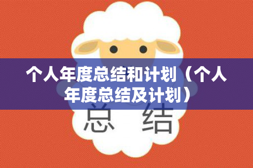 个人年度总结和计划（个人年度总结及计划）