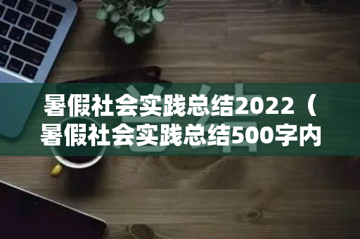 暑假社会实践总结2022（暑假社会实践总结500字内容）
