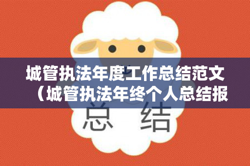 城管执法年度工作总结范文（城管执法年终个人总结报告）