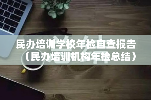 民办培训学校年检自查报告（民办培训机构年检总结）