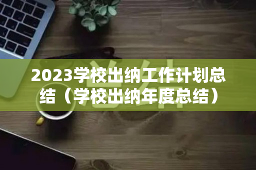 2023学校出纳工作计划总结（学校出纳年度总结）