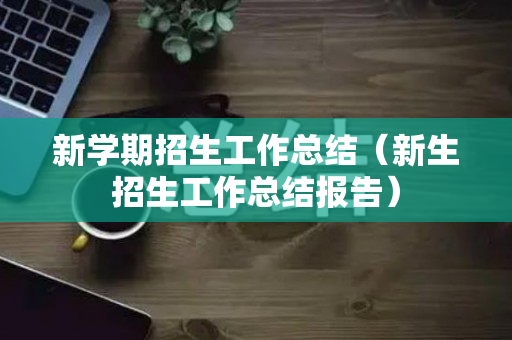 新学期招生工作总结（新生招生工作总结报告）