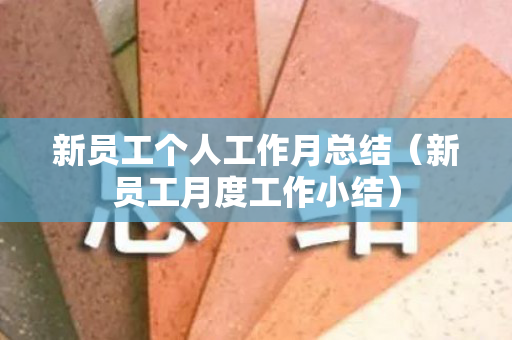 新员工个人工作月总结（新员工月度工作小结）