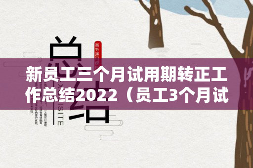 新员工三个月试用期转正工作总结2022（员工3个月试用期转正有工资吗）