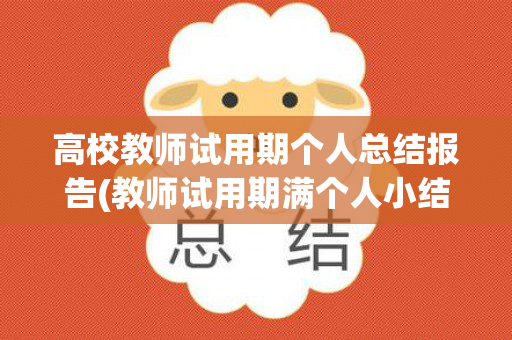 高校教师试用期个人总结报告(教师试用期满个人小结200字)