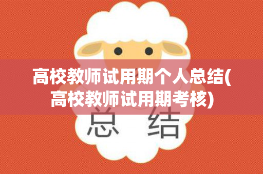 高校教师试用期个人总结(高校教师试用期考核)